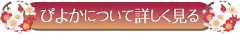 ぴよかについて詳しく見る