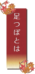 足つぼとは