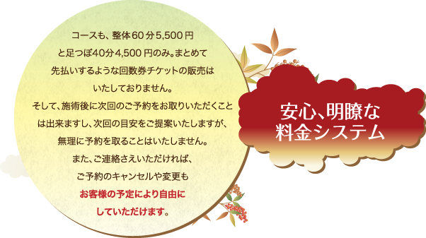 安心、明瞭な 料金システム